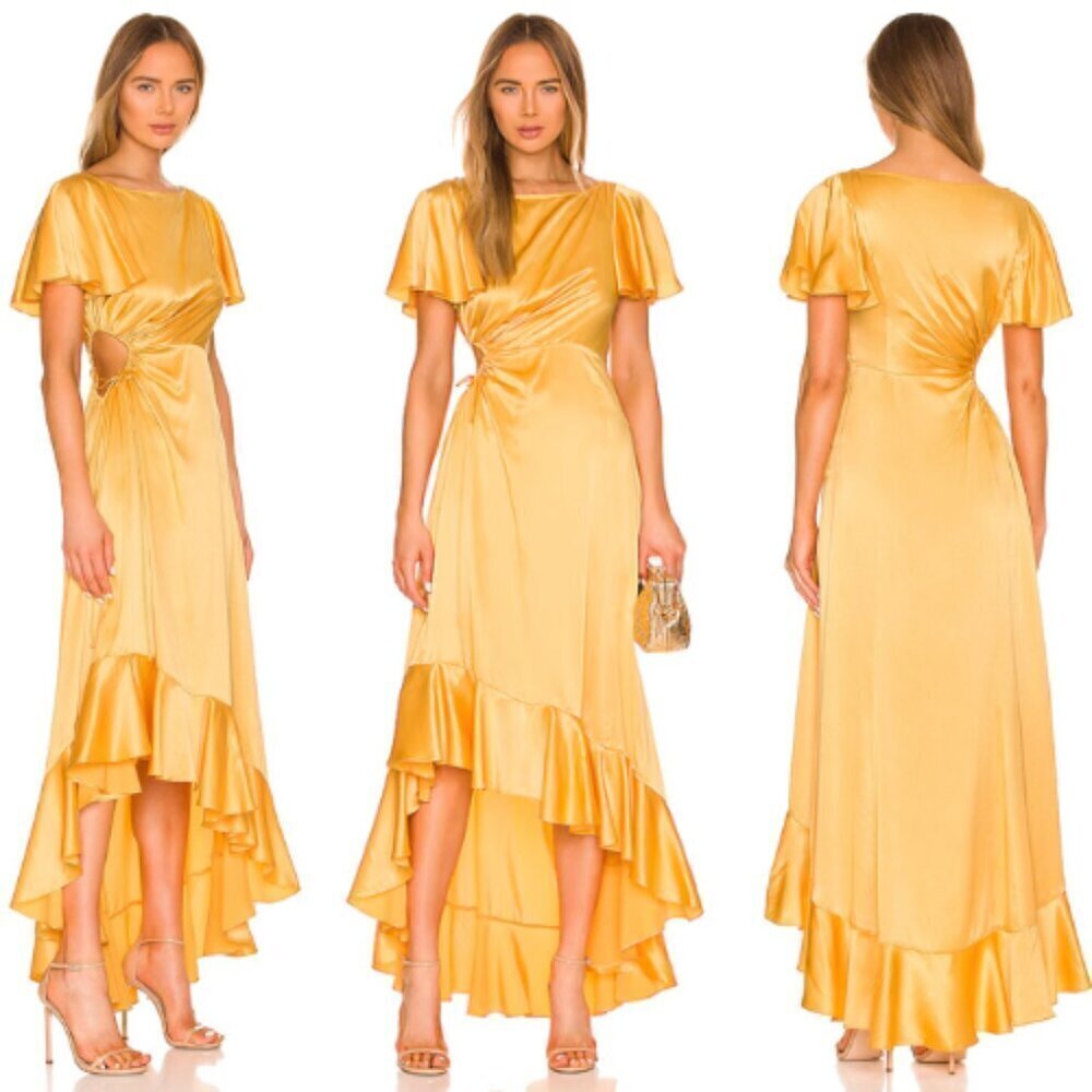 New! Cinq a sept sunset Patti High Low dress 17838